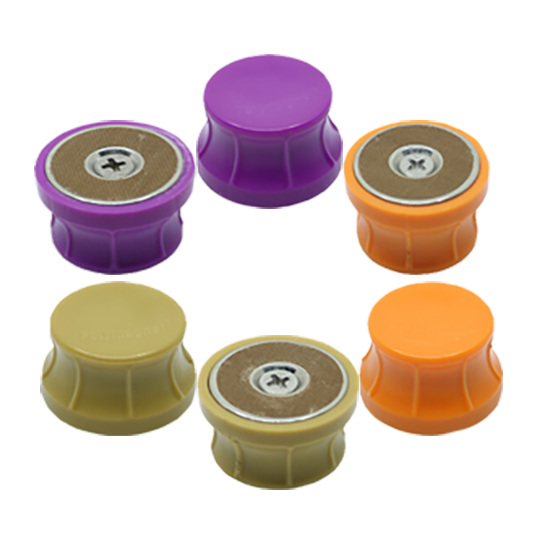 Programmable Magnetized Magnets